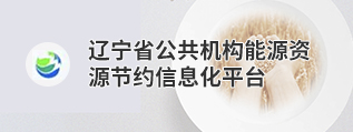 辽宁省公共机构能源资源节约信息化平台