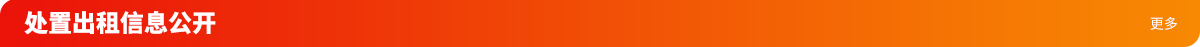 处置出租信息公开